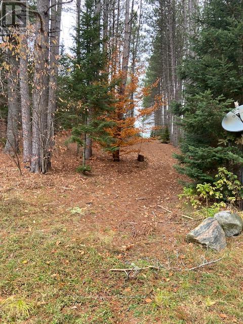 1590 Yearley Road, Huntsville, Ontario  P0B 1M0 - Photo 36 - X12335484