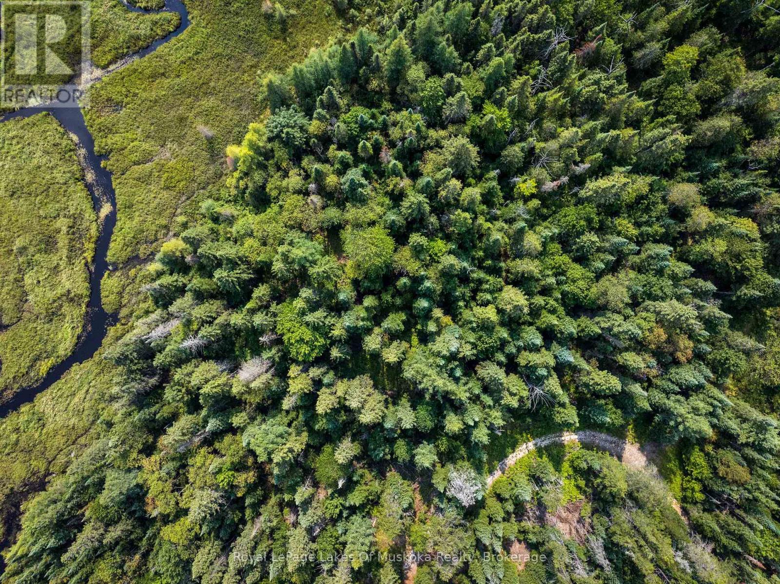 1590 Yearley Road, Huntsville, Ontario  P0B 1M0 - Photo 4 - X12335484