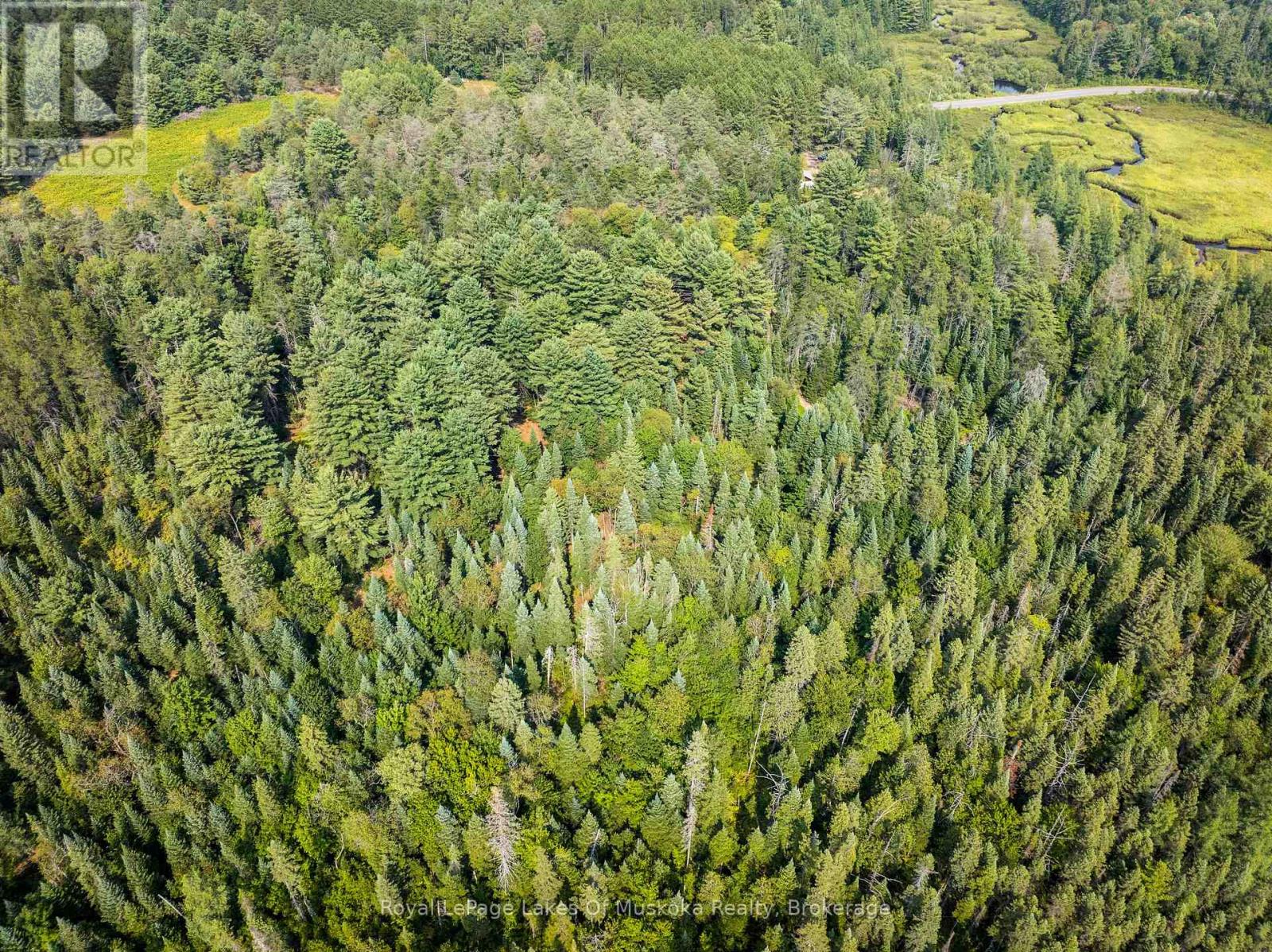 1590 Yearley Road, Huntsville, Ontario  P0B 1M0 - Photo 8 - X12335484