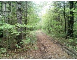 1590 YEARLEY ROAD, Huntsville, Ontario