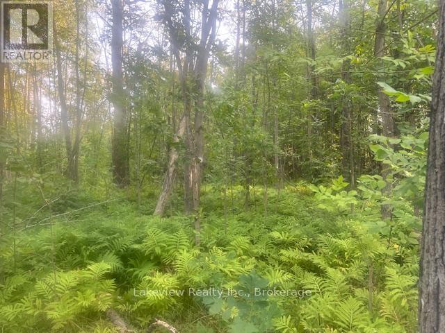 1078 South Kahshe Lake Road E, Gravenhurst, Ontario  P0E 1G0 - Photo 20 - X12338986