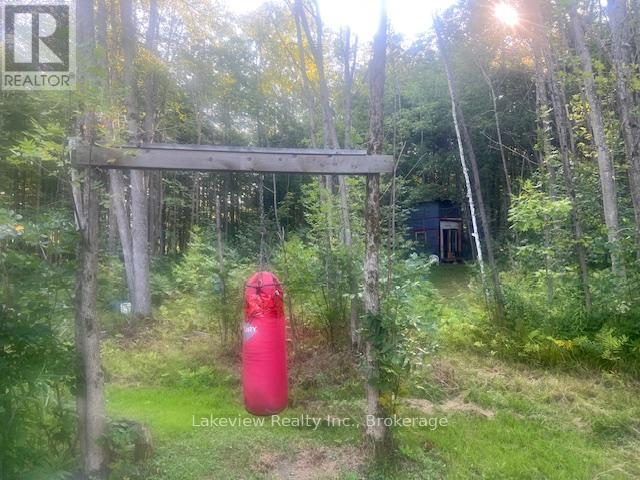 1078 South Kahshe Lake Road E, Gravenhurst, Ontario  P0E 1G0 - Photo 21 - X12338986