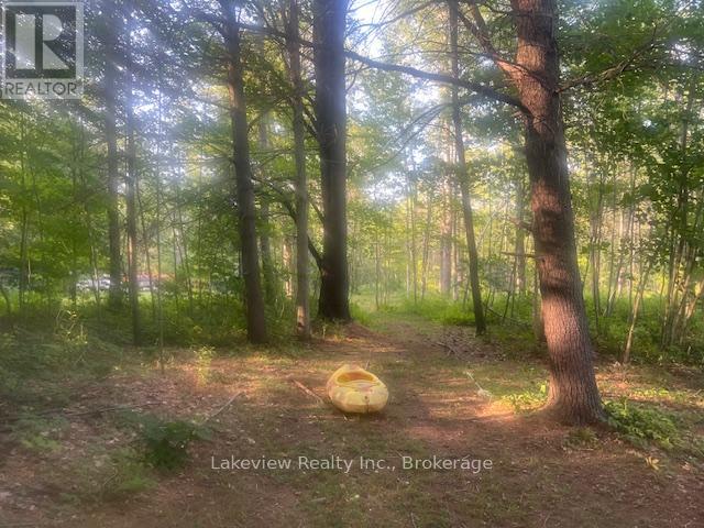 1078 South Kahshe Lake Road E, Gravenhurst, Ontario  P0E 1G0 - Photo 30 - X12338986