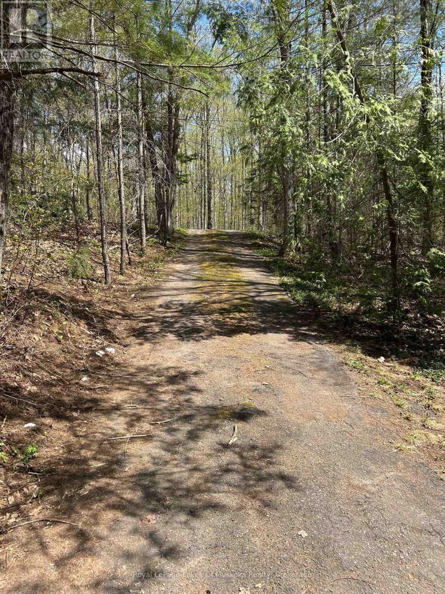 1091 North Tooke Lake Road, Lake Of Bays, Ontario  P0B 1A0 - Photo 21 - X12339016