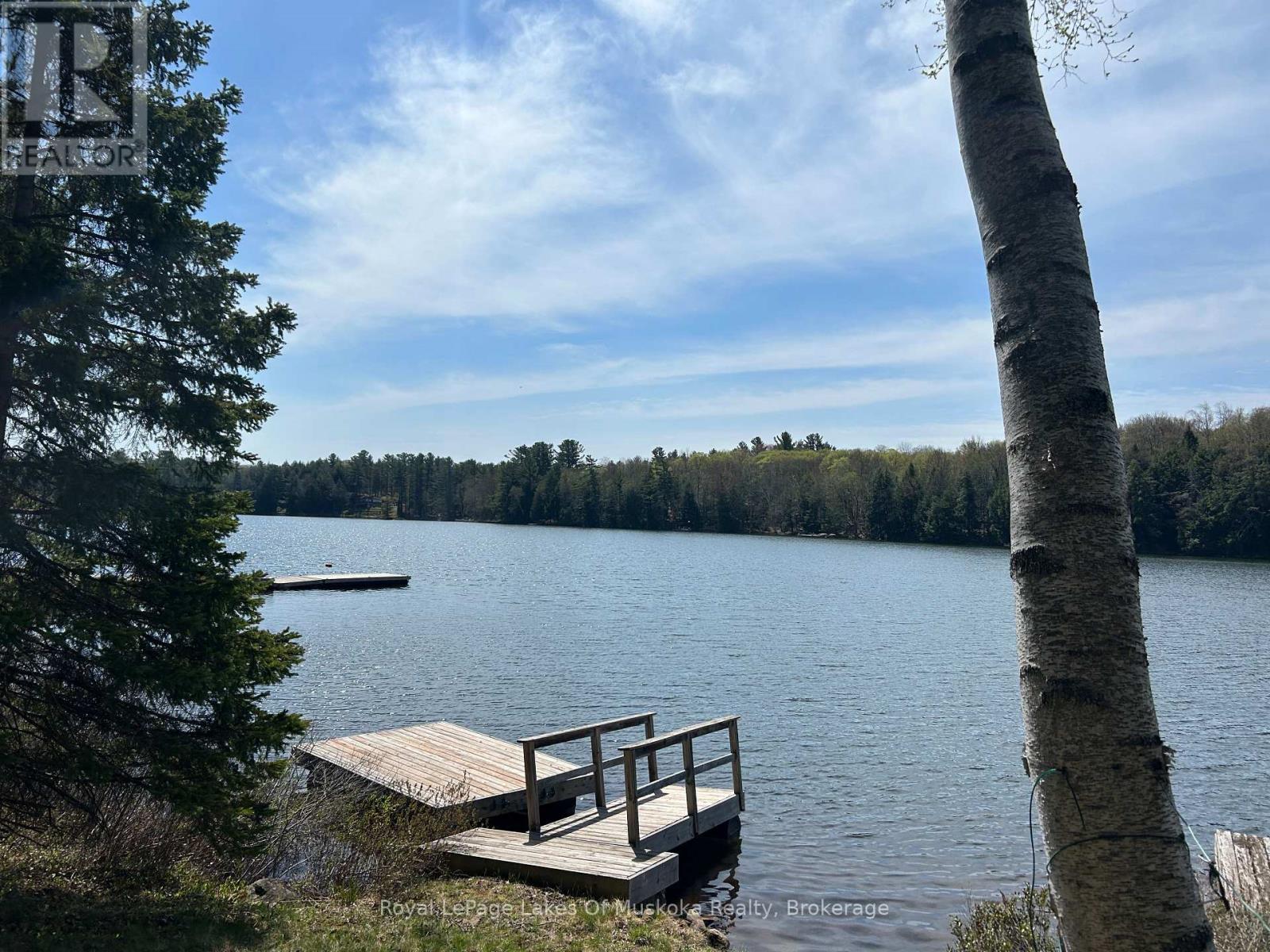 1091 North Tooke Lake Road, Lake Of Bays, Ontario  P0B 1A0 - Photo 5 - X12339016