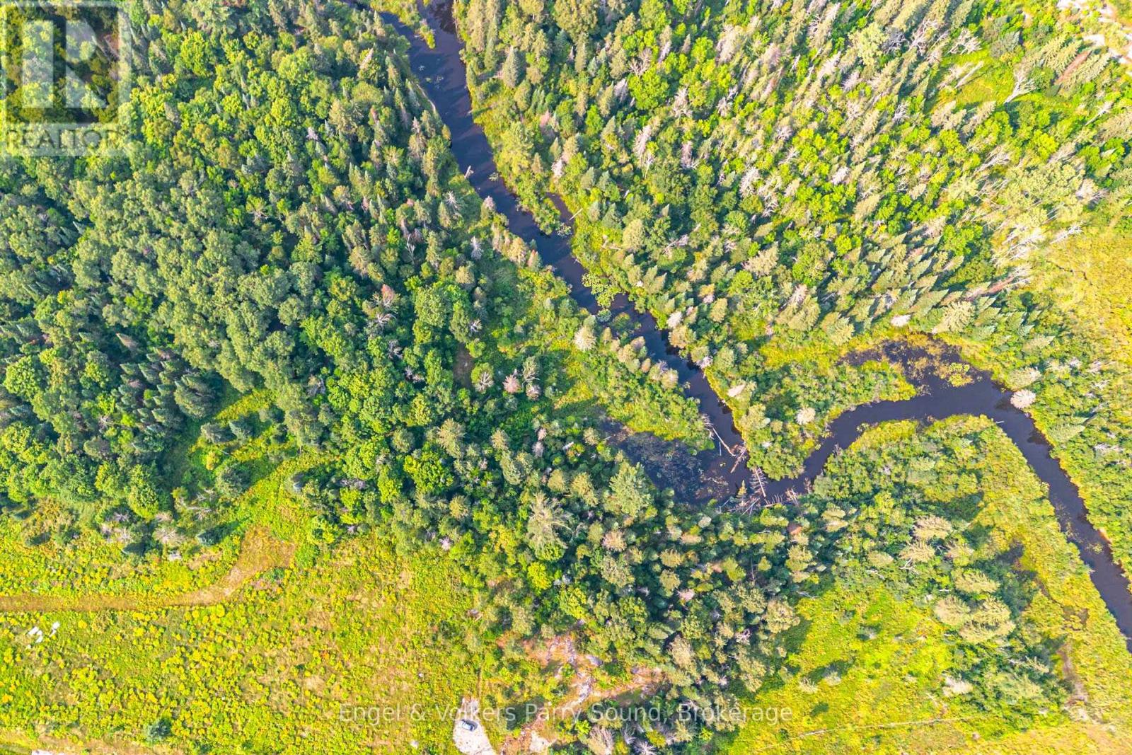 Lot 78 141 Highway, Seguin, Ontario  P0C 1J0 - Photo 4 - X12342259