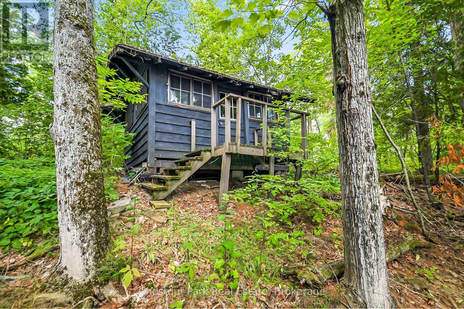 4 Hills Island, Lake Of Bays, Ontario  P0B 1A0 - Photo 37 - X12345010