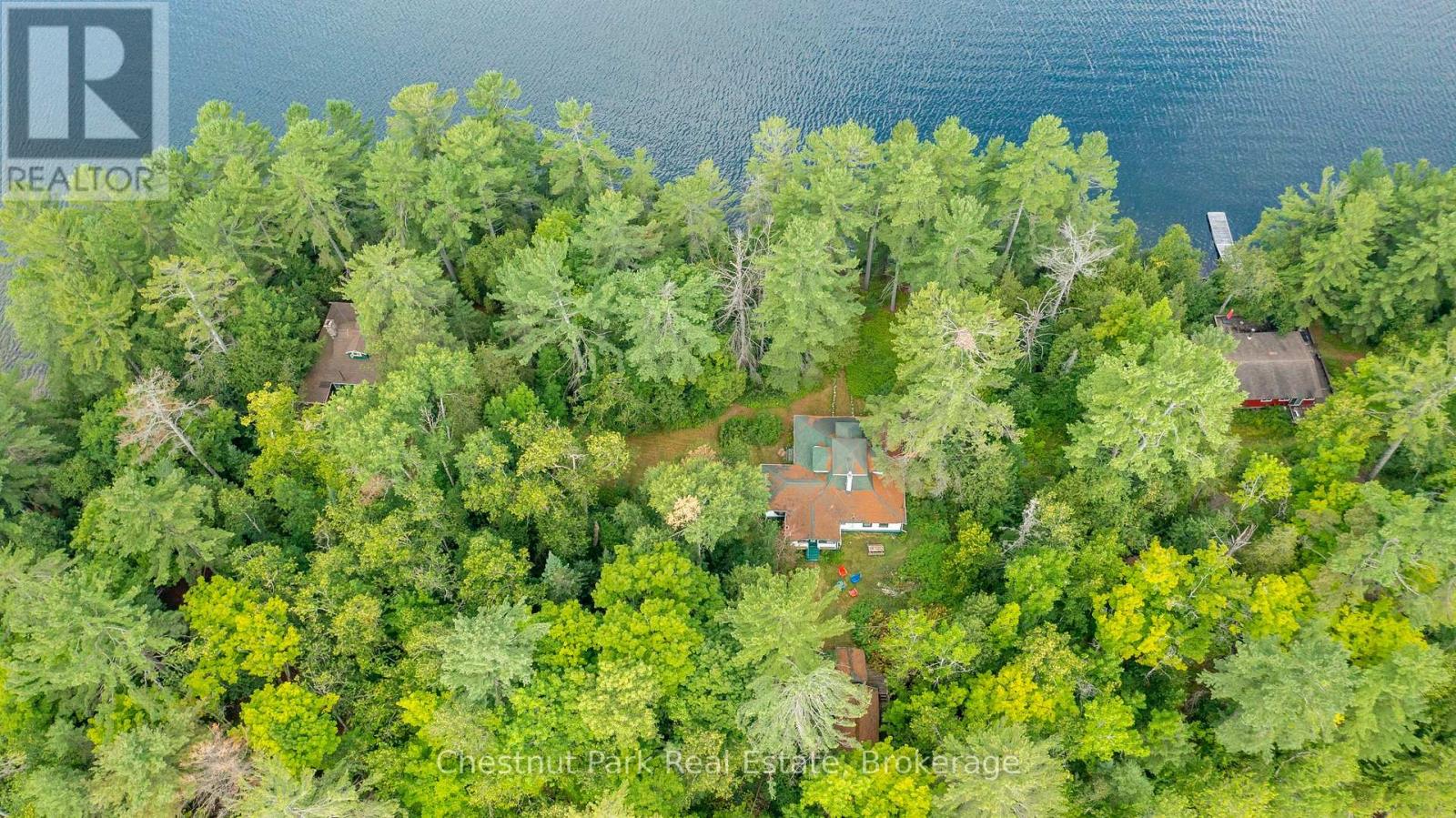 4 Hills Island, Lake Of Bays, Ontario  P0B 1A0 - Photo 5 - X12345010