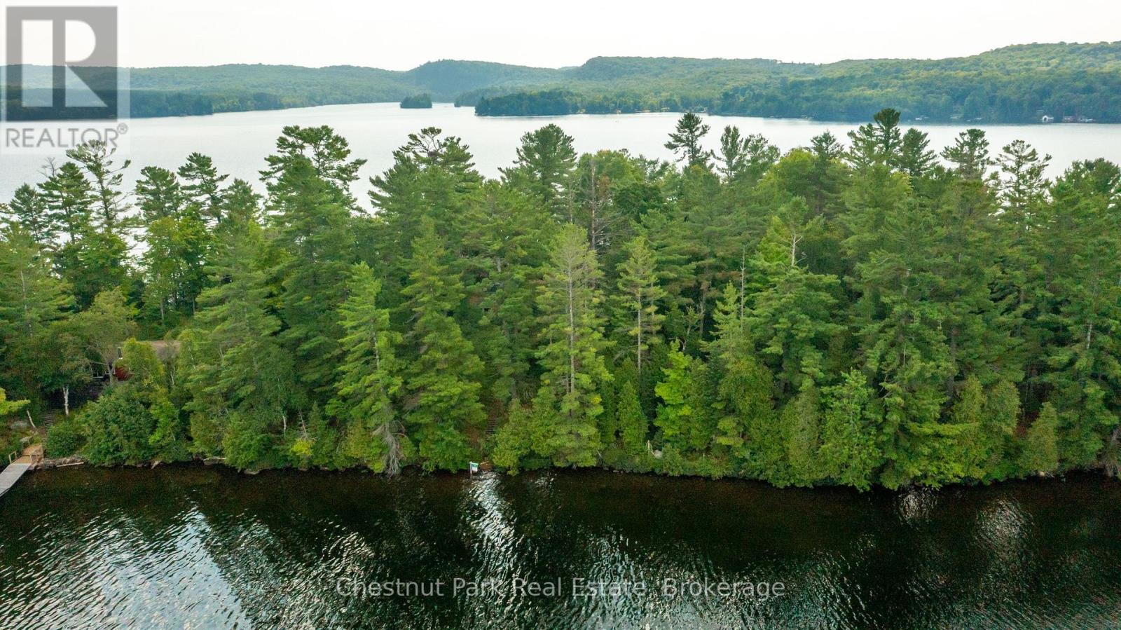 4 Hills Island, Lake Of Bays, Ontario  P0B 1A0 - Photo 9 - X12345010