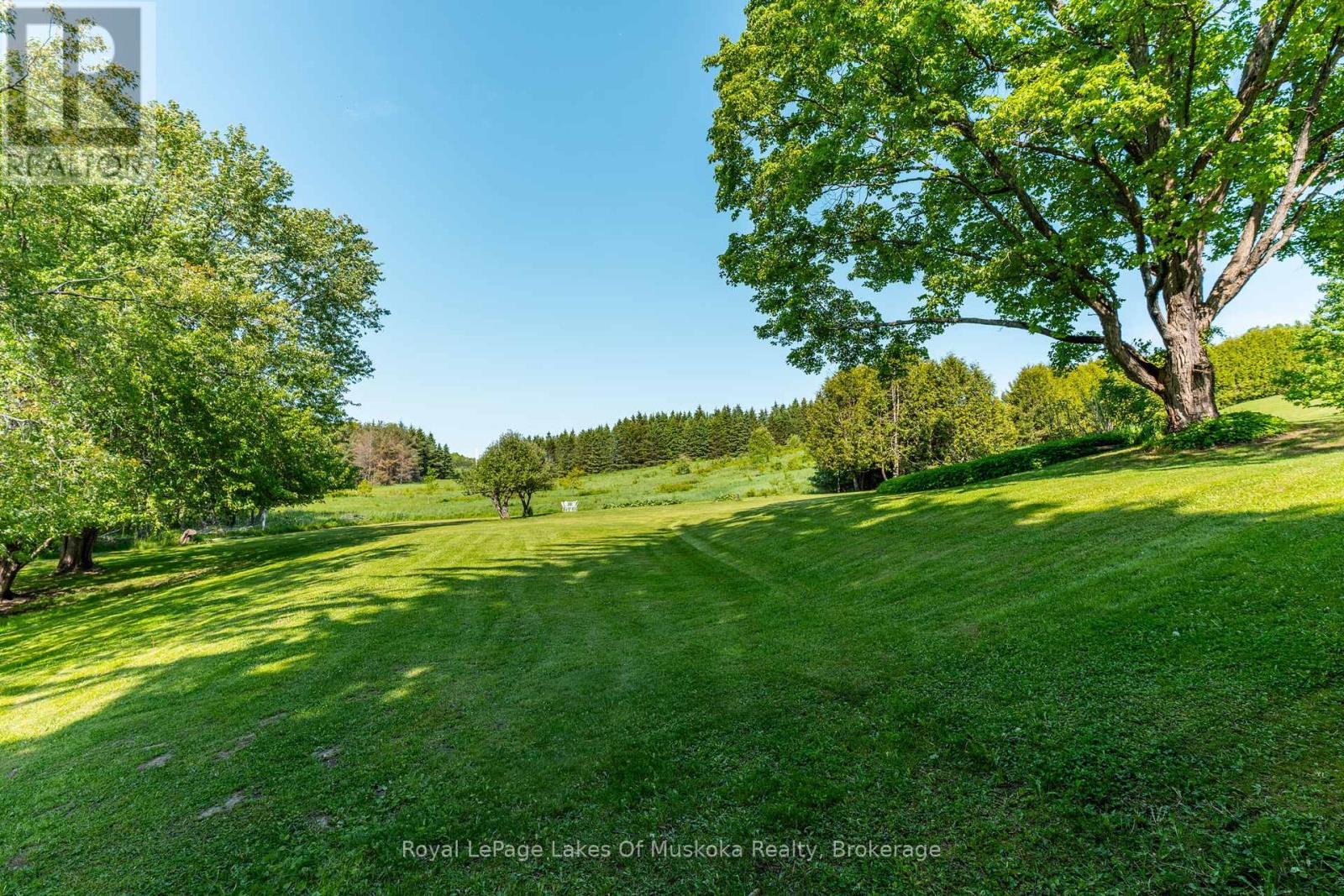 229 Fraserburg Road, Bracebridge, Ontario  P1L 0G9 - Photo 45 - X12346841