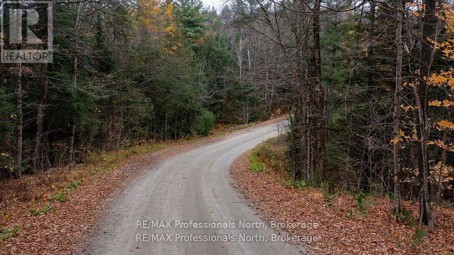 Lot 4 Carlsmount Road, Bracebridge, Ontario  P1L 1X1 - Photo 2 - X12348367
