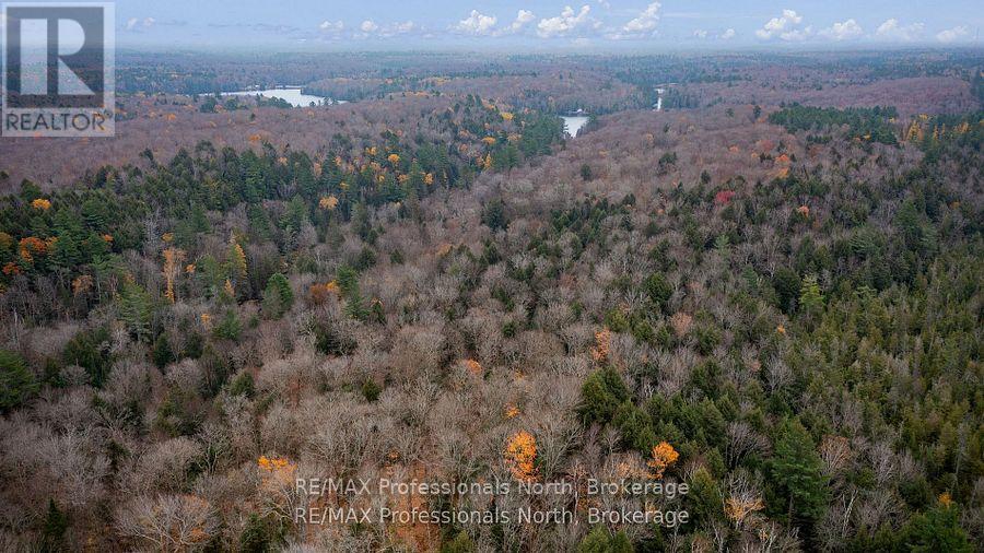 Lot 4 Carlsmount Road, Bracebridge, Ontario  P1L 1X1 - Photo 4 - X12348367