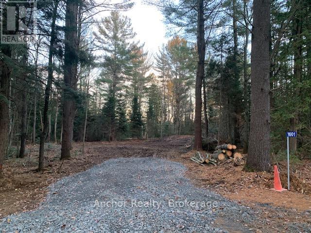 1601 Uffington Road, Bracebridge, Ontario  P1L 1X1 - Photo 1 - X12349385