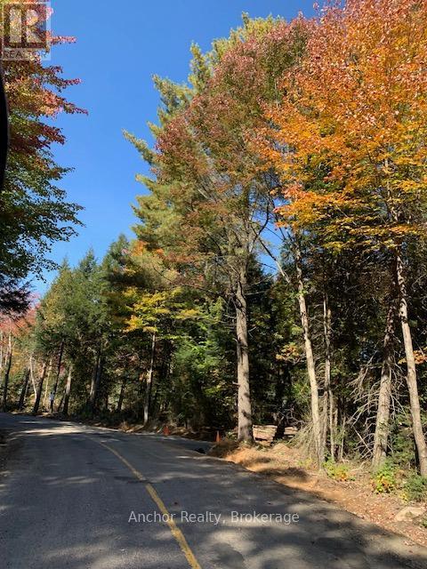 1601 Uffington Road, Bracebridge, Ontario  P1L 1X1 - Photo 10 - X12349385