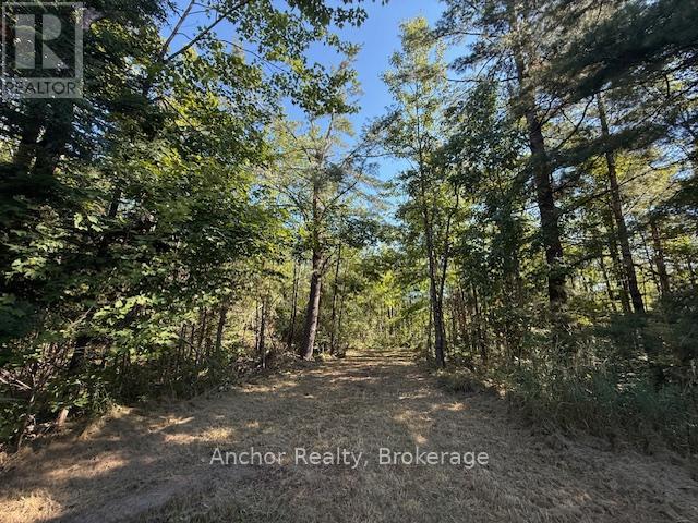 1601 Uffington Road, Bracebridge, Ontario  P1L 1X1 - Photo 14 - X12349385