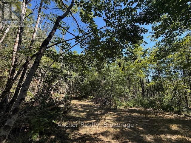 1601 Uffington Road, Bracebridge, Ontario  P1L 1X1 - Photo 15 - X12349385