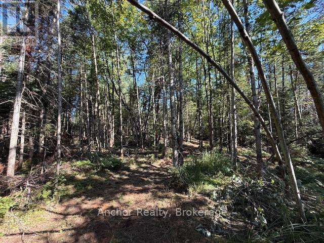 1601 Uffington Road, Bracebridge, Ontario  P1L 1X1 - Photo 16 - X12349385