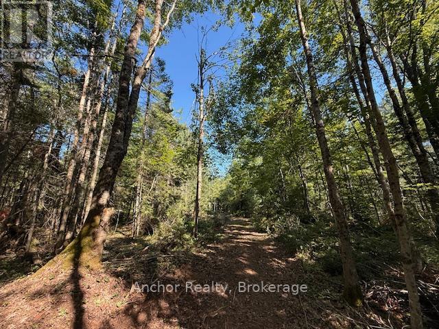 1601 Uffington Road, Bracebridge, Ontario  P1L 1X1 - Photo 17 - X12349385