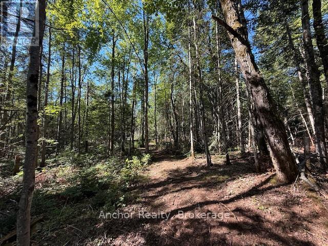 1601 Uffington Road, Bracebridge, Ontario  P1L 1X1 - Photo 18 - X12349385