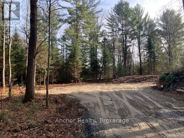 1601 Uffington Road, Bracebridge, Ontario  P1L 1X1 - Photo 2 - X12349385