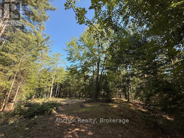 1601 Uffington Road, Bracebridge, Ontario  P1L 1X1 - Photo 20 - X12349385