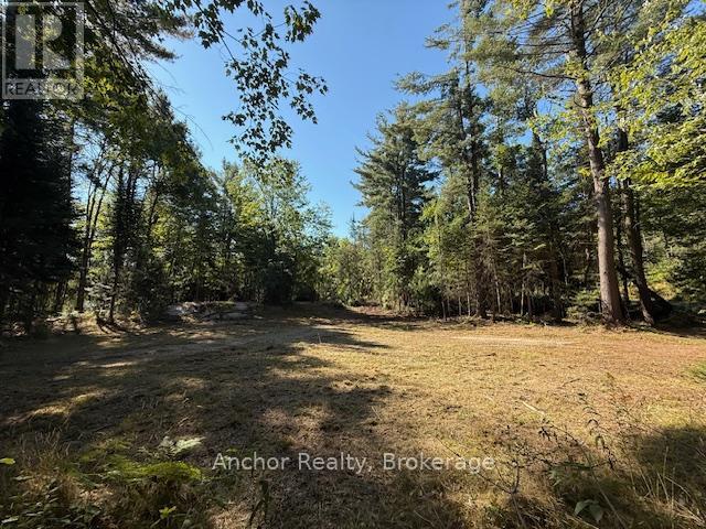 1601 Uffington Road, Bracebridge, Ontario  P1L 1X1 - Photo 22 - X12349385