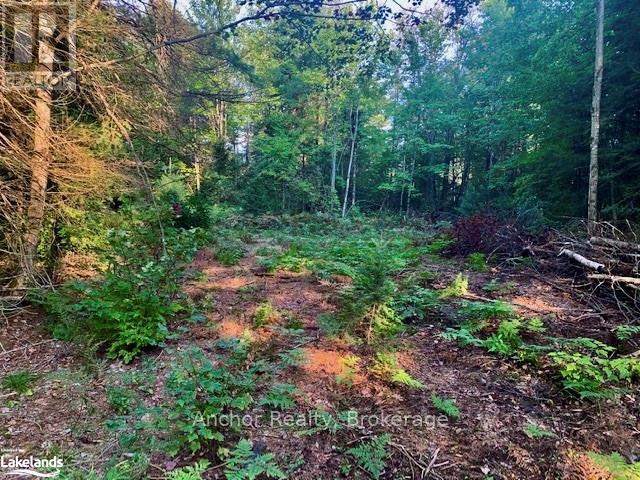 1601 Uffington Road, Bracebridge, Ontario  P1L 1X1 - Photo 3 - X12349385