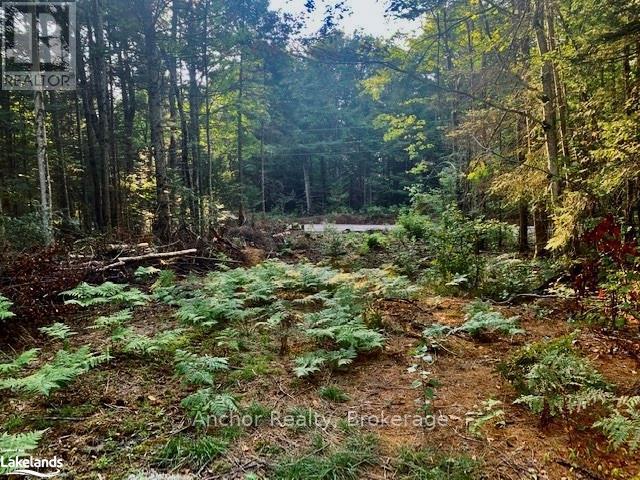 1601 Uffington Road, Bracebridge, Ontario  P1L 1X1 - Photo 4 - X12349385