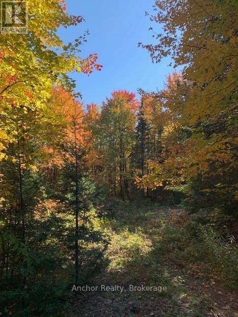 1601 Uffington Road, Bracebridge, Ontario  P1L 1X1 - Photo 5 - X12349385