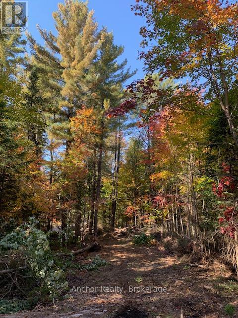 1601 Uffington Road, Bracebridge, Ontario  P1L 1X1 - Photo 6 - X12349385