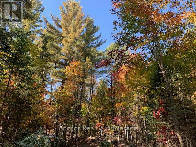 1601 Uffington Road, Bracebridge, Ontario  P1L 1X1 - Photo 7 - X12349385