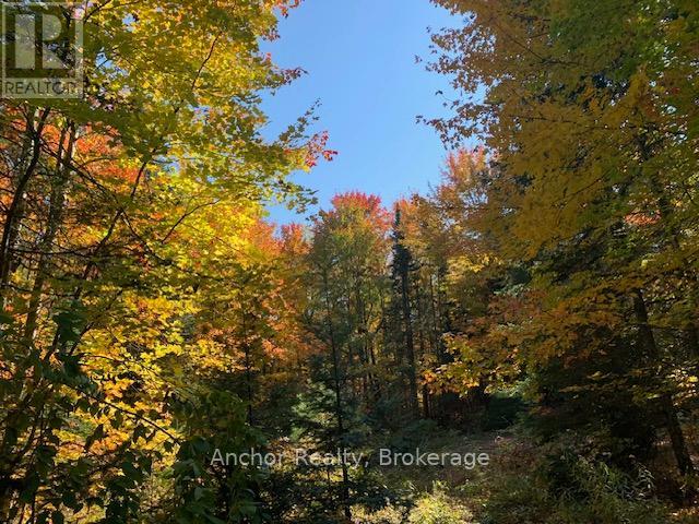 1601 Uffington Road, Bracebridge, Ontario  P1L 1X1 - Photo 8 - X12349385