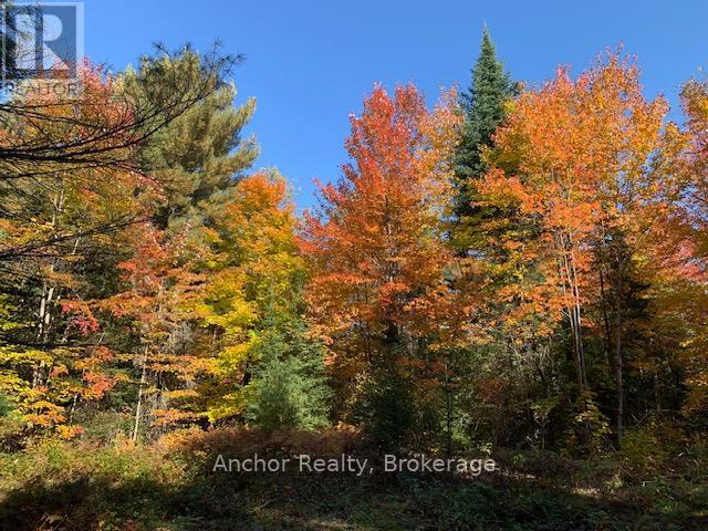 1601 Uffington Road, Bracebridge, Ontario  P1L 1X1 - Photo 9 - X12349385
