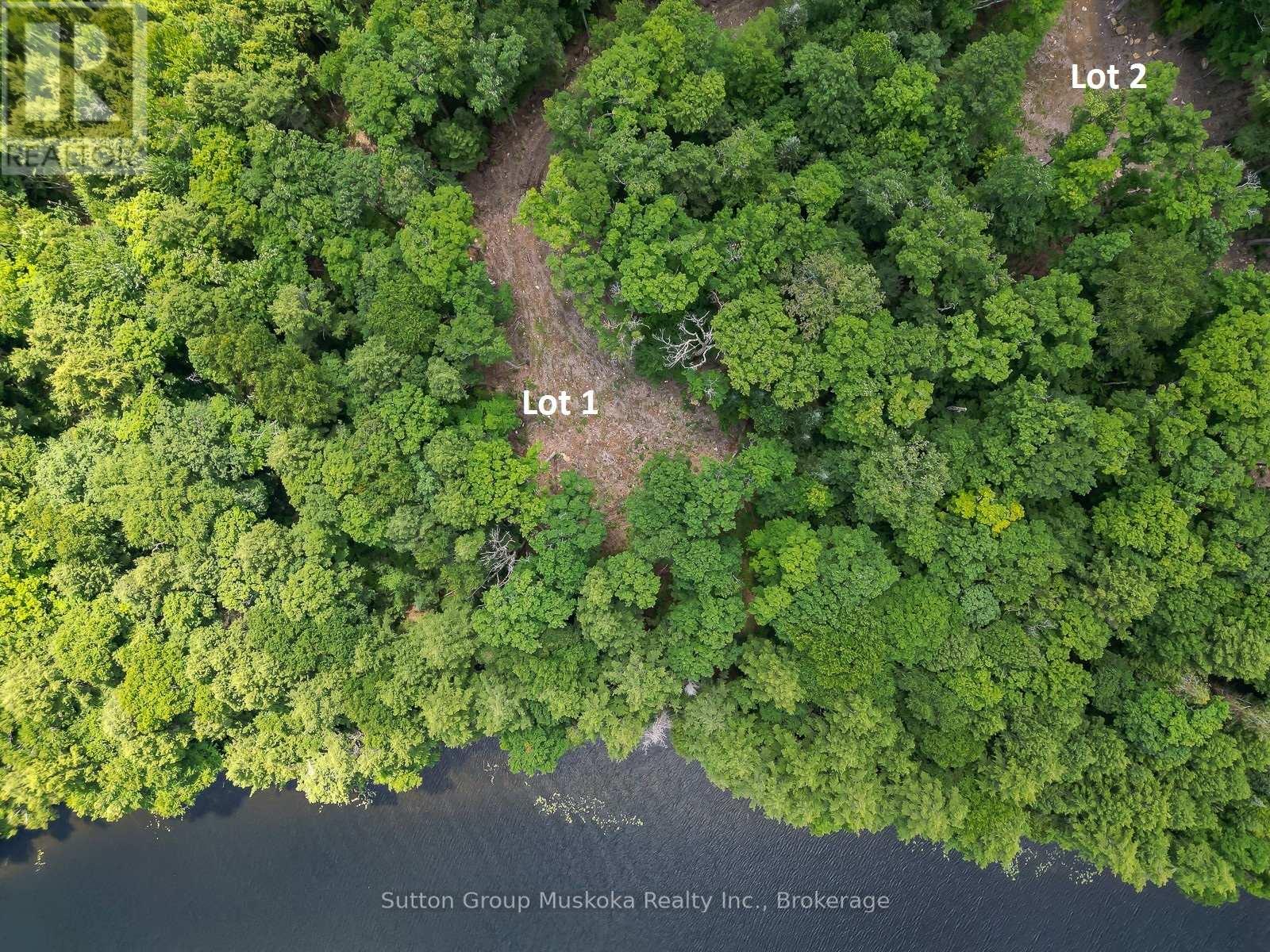 Lot 1 Esig Lane, Lake Of Bays, Ontario  P1H 2J6 - Photo 14 - X12349843