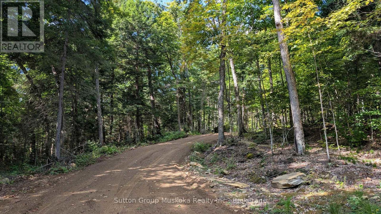 Lot 1 Esig Lane, Lake Of Bays, Ontario  P1H 2J6 - Photo 4 - X12349843