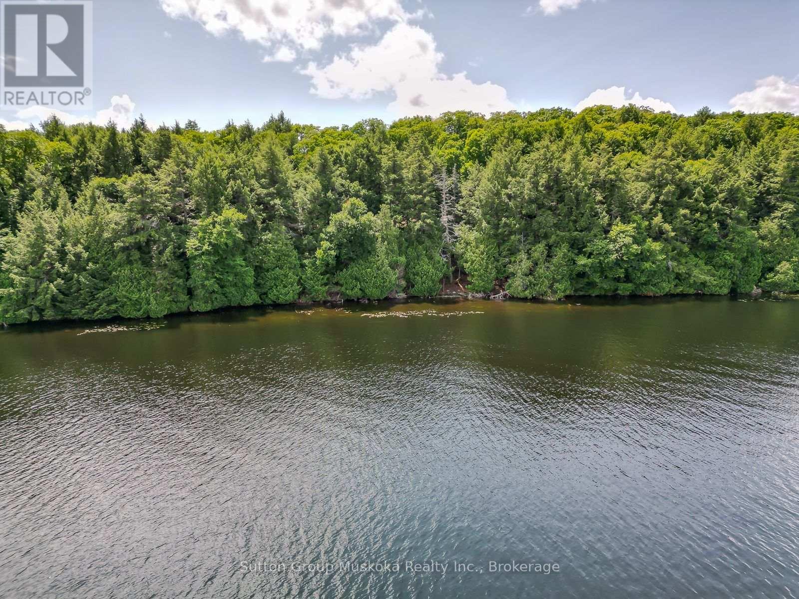 Lot 1 Esig Lane, Lake Of Bays, Ontario  P1H 2J6 - Photo 9 - X12349843