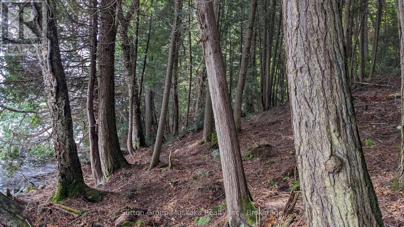 Lot 2 Esig Lane, Lake Of Bays, Ontario  P1H 2J6 - Photo 14 - X12349998