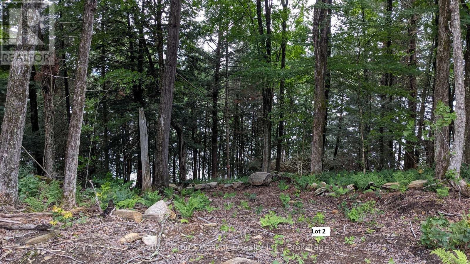 Lot 2 Esig Lane, Lake Of Bays, Ontario  P1H 2J6 - Photo 15 - X12349998