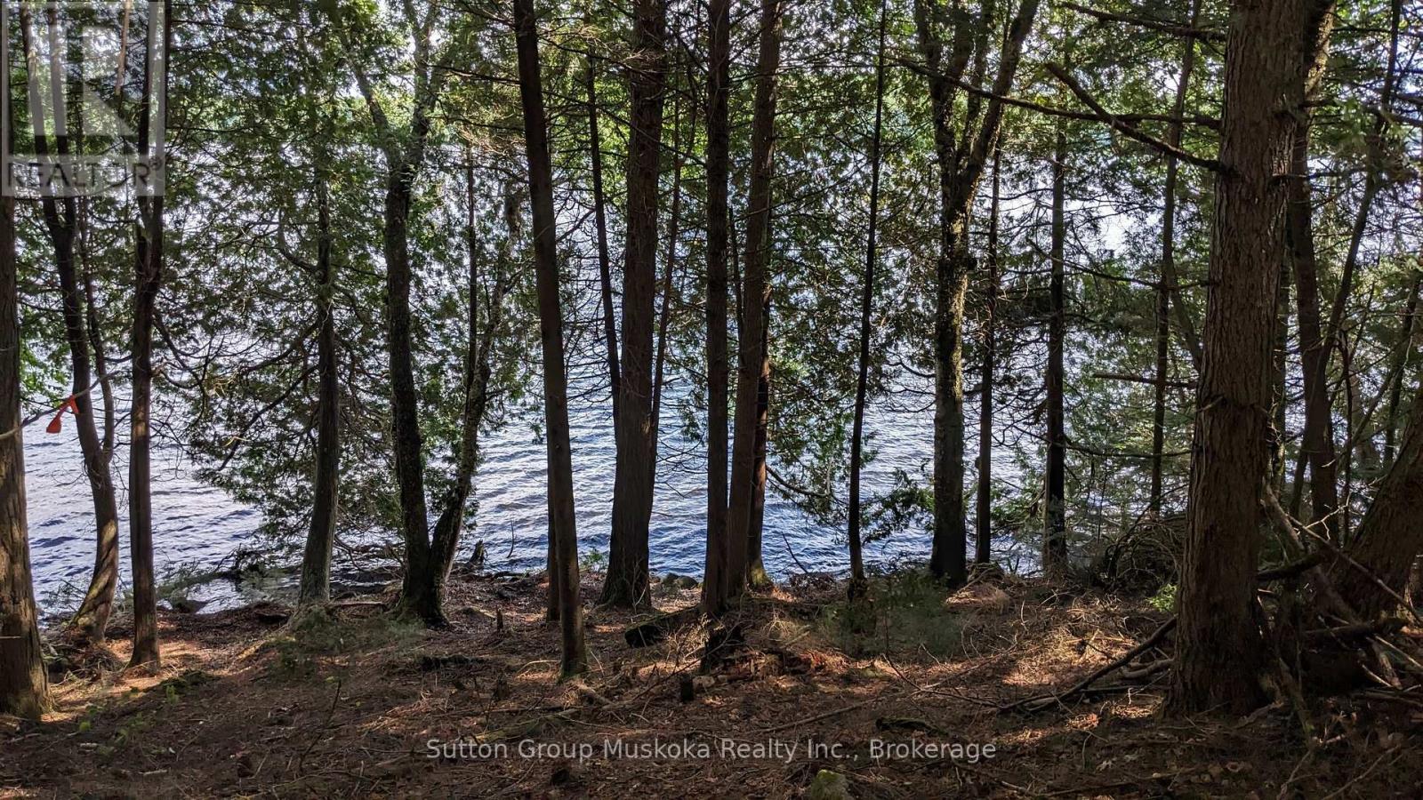 Lot 2 Esig Lane, Lake Of Bays, Ontario  P1H 2J6 - Photo 20 - X12349998