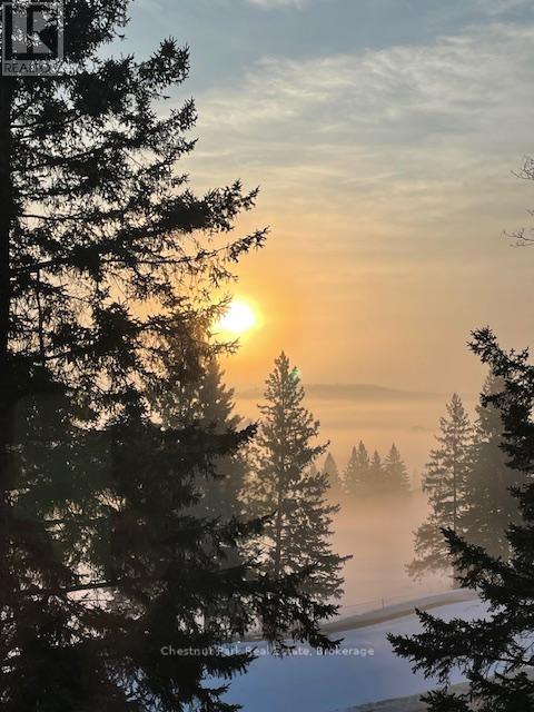 5 - 3421 Grandview Forest Glen Drive, Huntsville, Ontario  P1H 2J5 - Photo 20 - X12360794