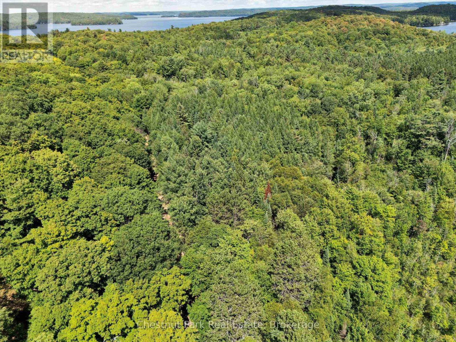 0 Nithgrove Road, Lake Of Bays, Ontario  P0B 1A0 - Photo 10 - X12362111