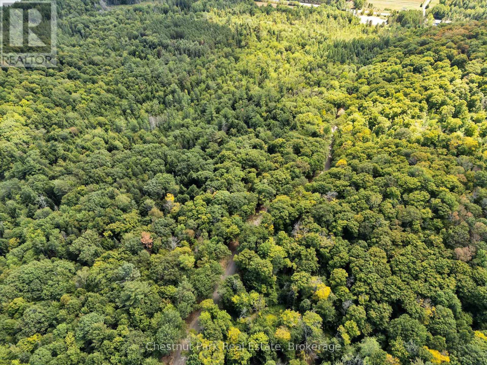 0 Nithgrove Road, Lake Of Bays, Ontario  P0B 1A0 - Photo 12 - X12362111