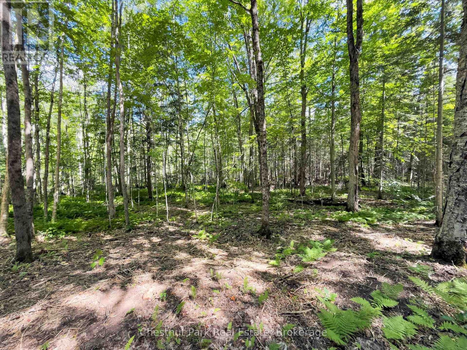 0 Nithgrove Road, Lake Of Bays, Ontario  P0B 1A0 - Photo 13 - X12362111