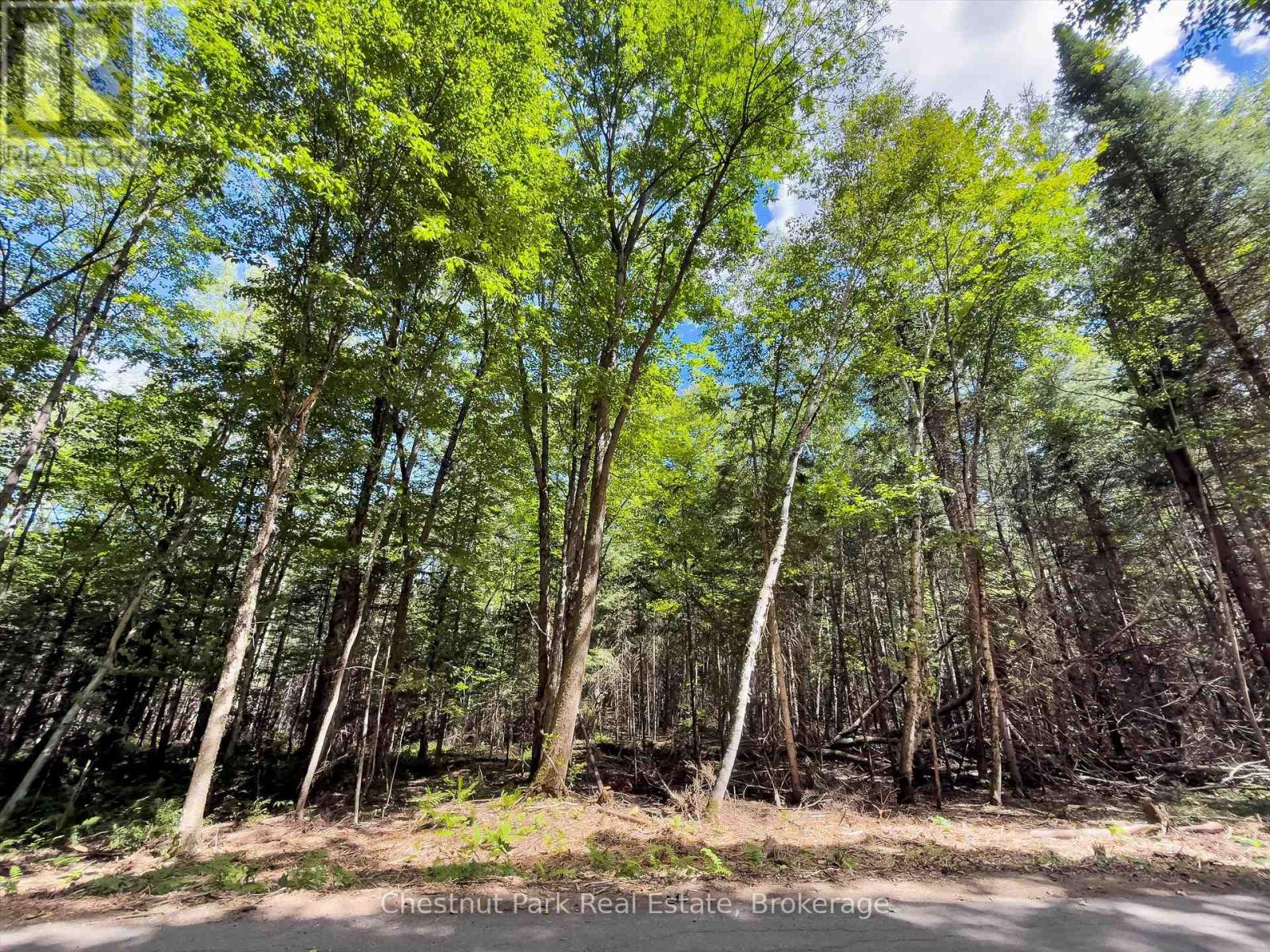 0 Nithgrove Road, Lake Of Bays, Ontario  P0B 1A0 - Photo 14 - X12362111