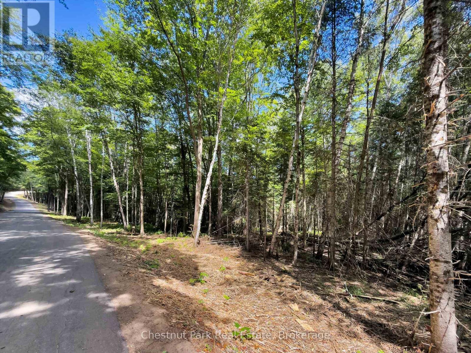 0 Nithgrove Road, Lake Of Bays, Ontario  P0B 1A0 - Photo 15 - X12362111