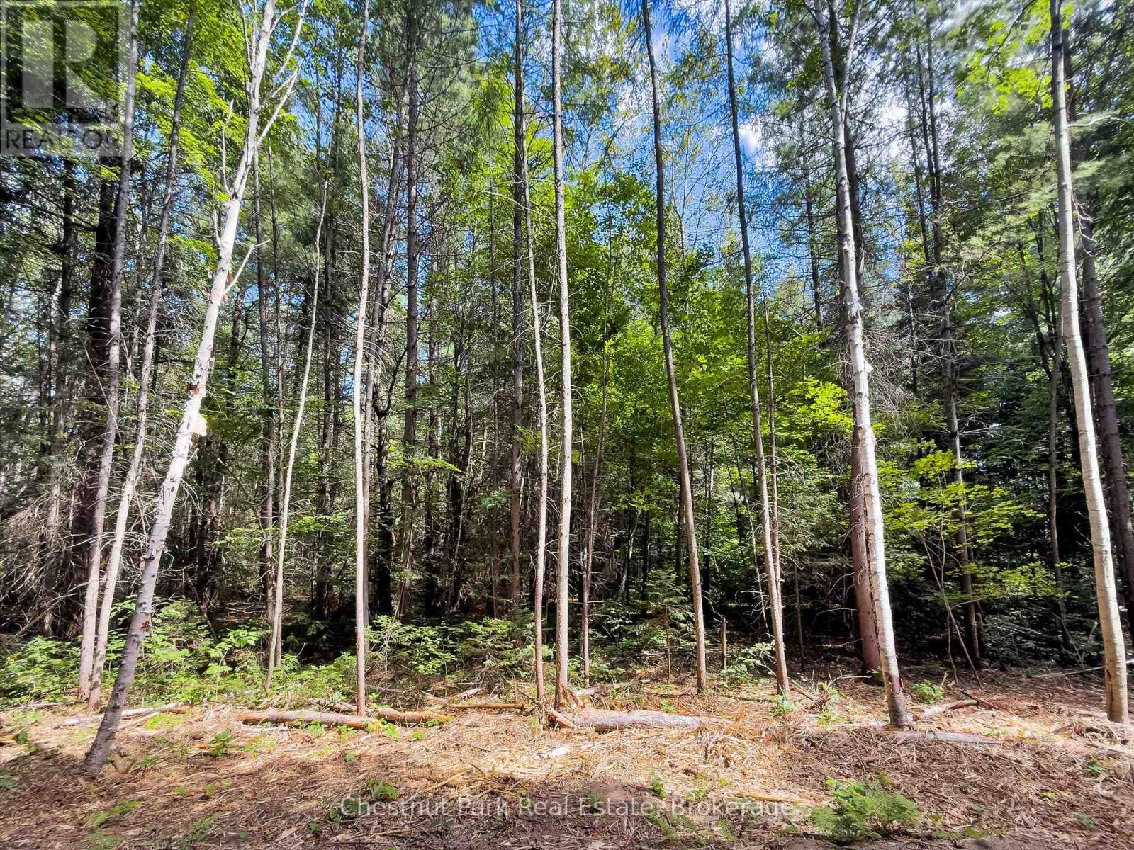 0 Nithgrove Road, Lake Of Bays, Ontario  P0B 1A0 - Photo 16 - X12362111