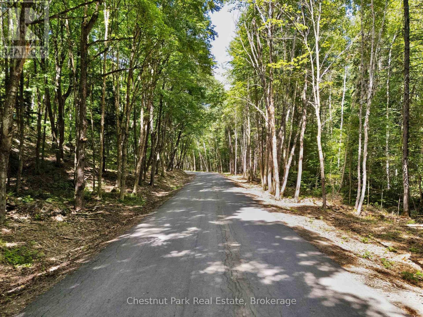 0 Nithgrove Road, Lake Of Bays, Ontario  P0B 1A0 - Photo 3 - X12362111