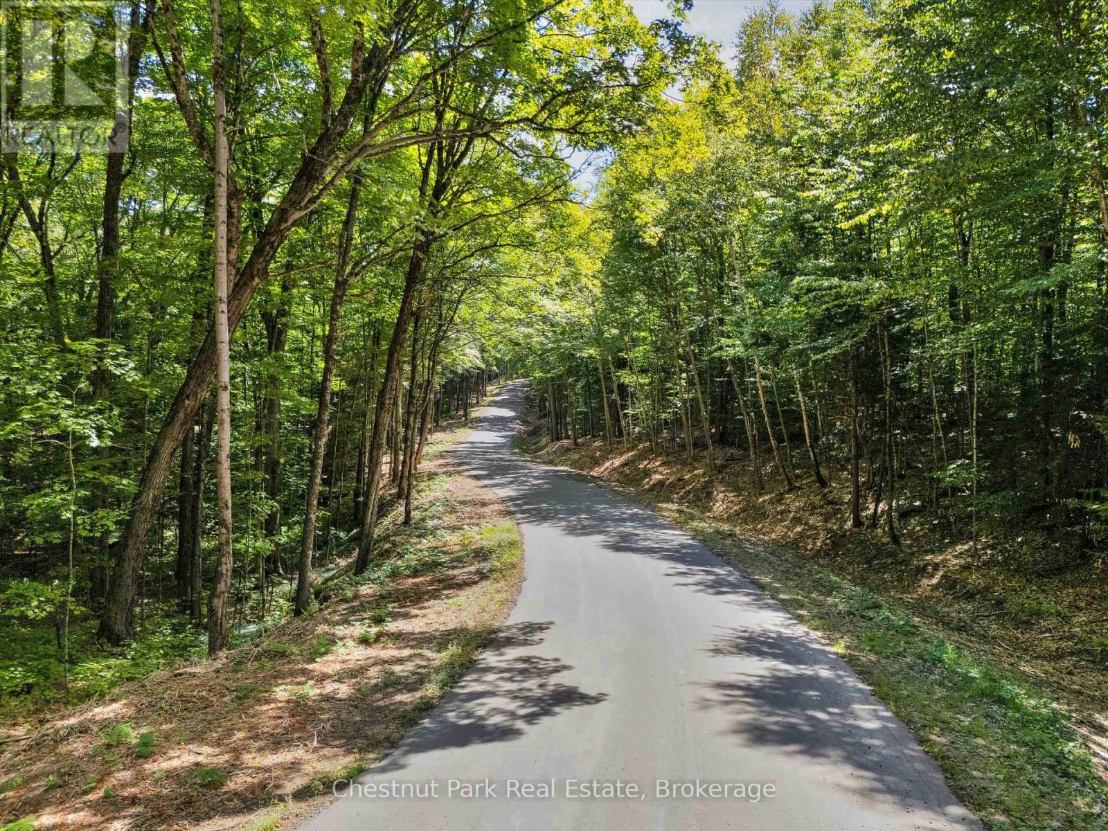 0 Nithgrove Road, Lake Of Bays, Ontario  P0B 1A0 - Photo 4 - X12362111