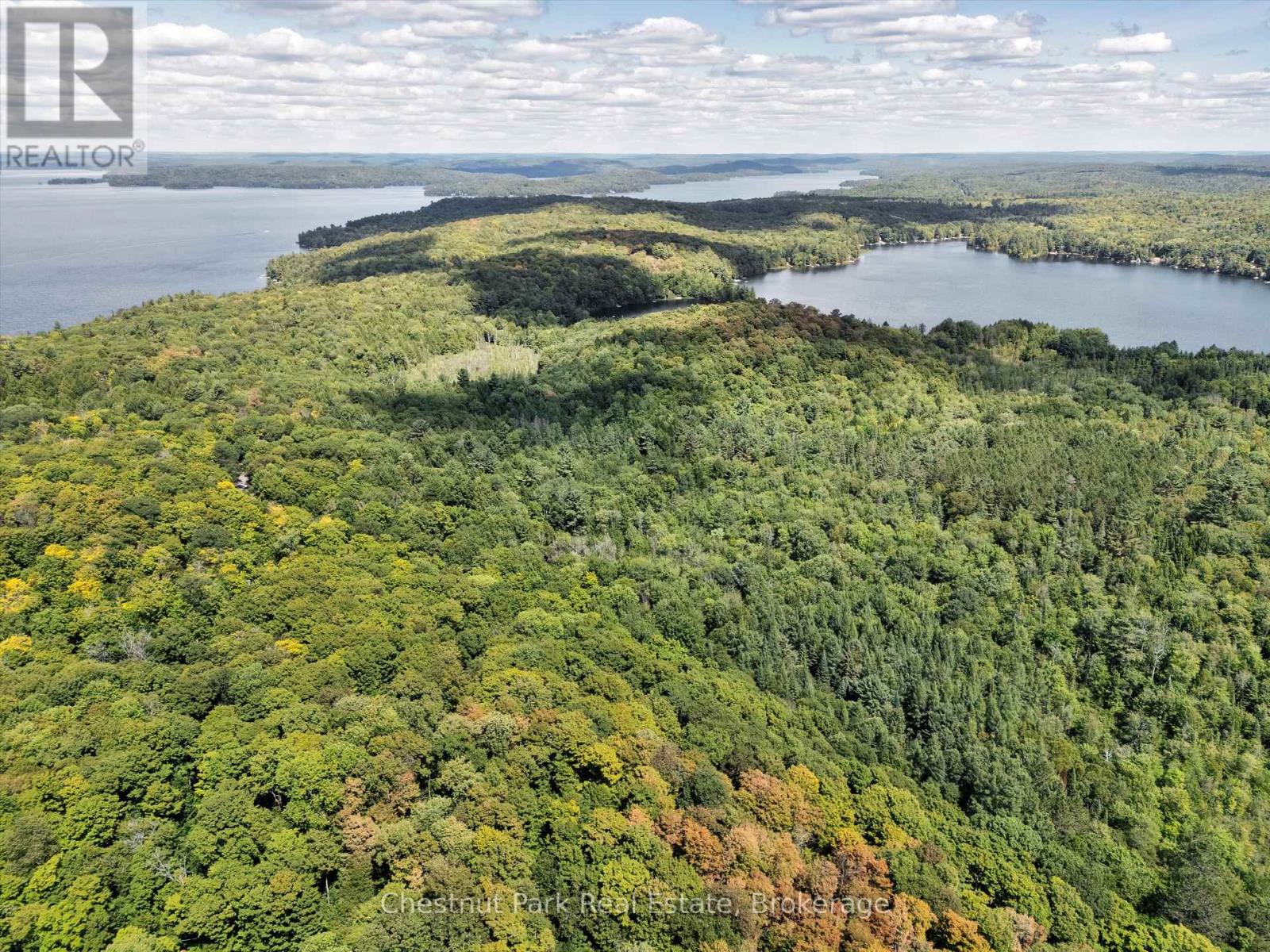 0 Nithgrove Road, Lake Of Bays, Ontario  P0B 1A0 - Photo 6 - X12362111