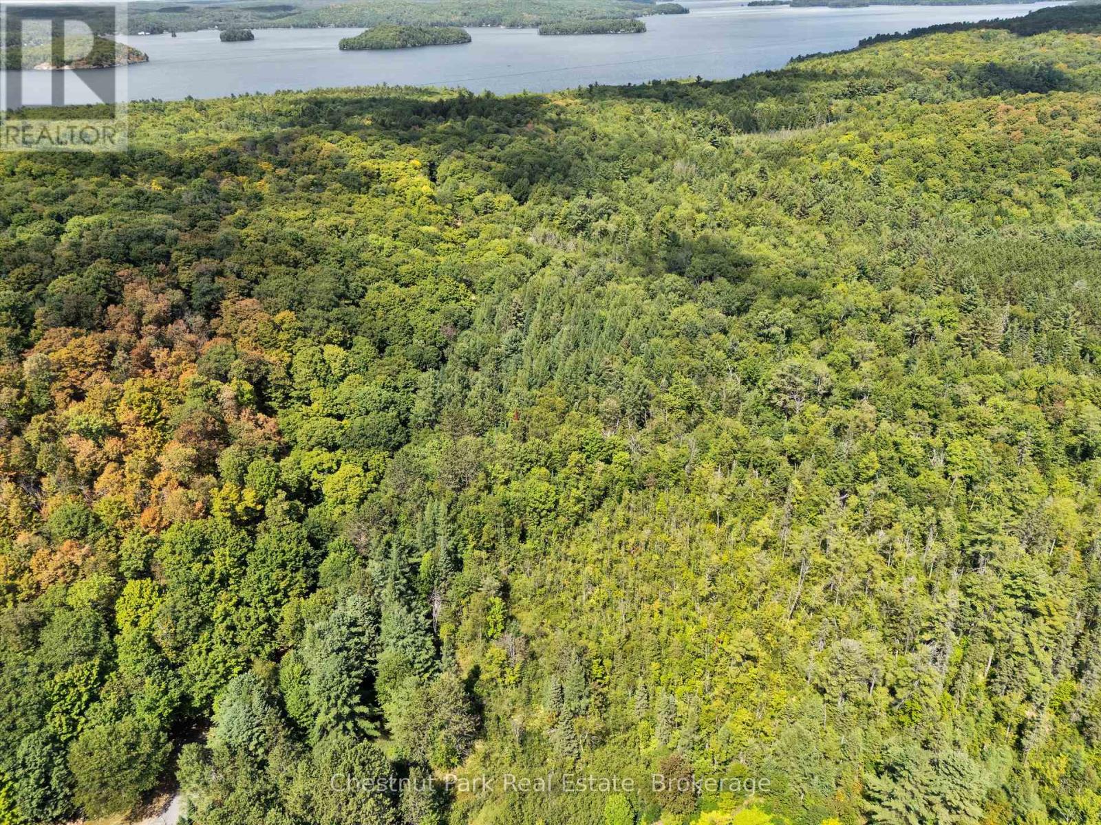 0 Nithgrove Road, Lake Of Bays, Ontario  P0B 1A0 - Photo 9 - X12362111